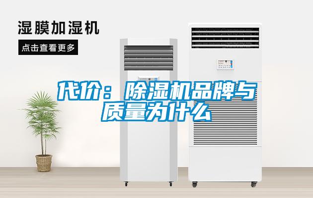 代價：除濕機(jī)品牌與質(zhì)量為什么