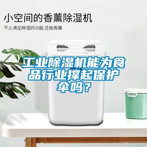 工業(yè)除濕機能為食品行業(yè)撐起保護傘嗎？