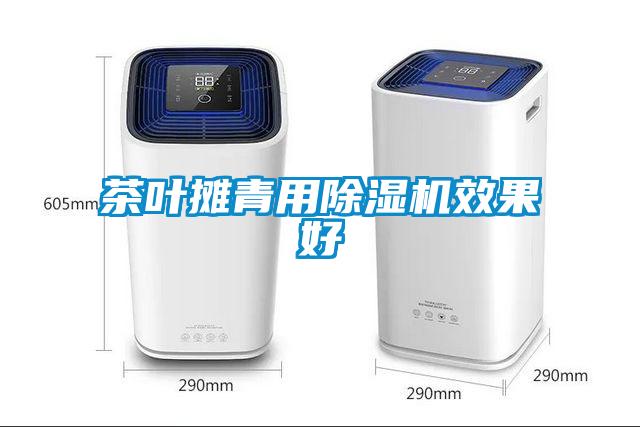 茶葉攤青用除濕機效果好