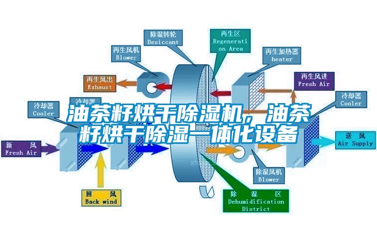 油茶籽烘干除濕機，油茶籽烘干除濕一體化設(shè)備