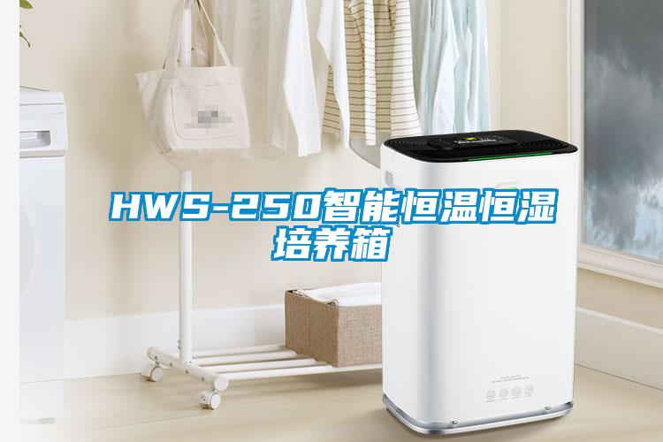 HWS-250智能恒溫恒濕培養(yǎng)箱