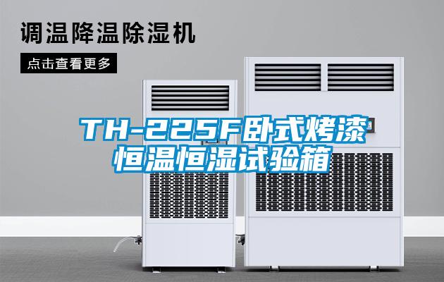 TH-225F臥式烤漆恒溫恒濕試驗箱