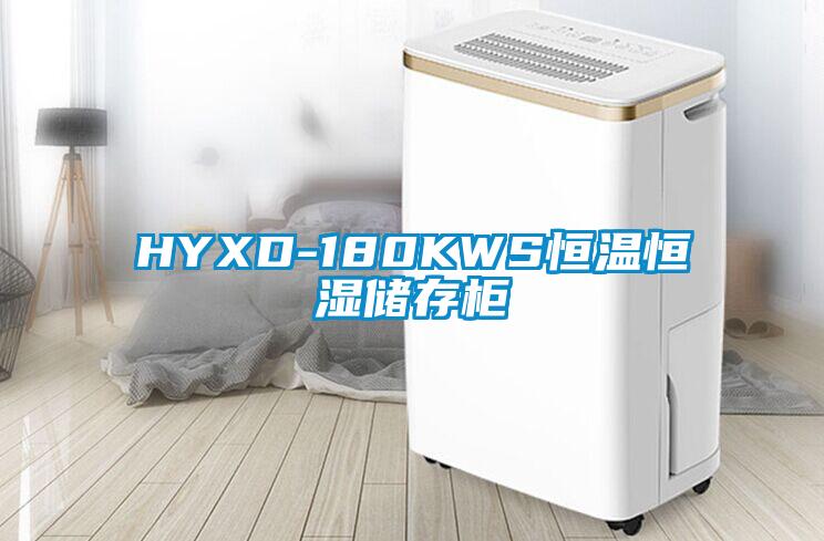 HYXD-180KWS恒溫恒濕儲存柜