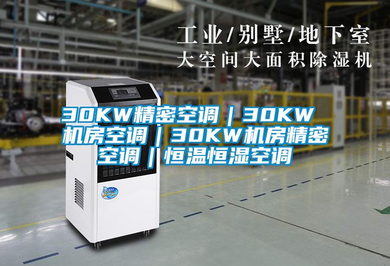 30KW精密空調(diào)｜30KW 機(jī)房空調(diào)｜30KW機(jī)房精密空調(diào)｜恒溫恒濕空調(diào)