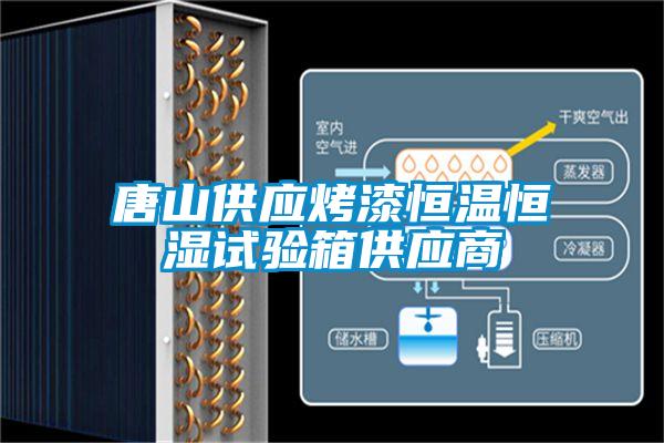 唐山供應(yīng)烤漆恒溫恒濕試驗(yàn)箱供應(yīng)商