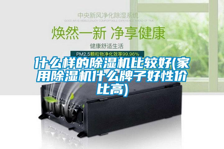 什么樣的除濕機比較好(家用除濕機什么牌子好性價比高)