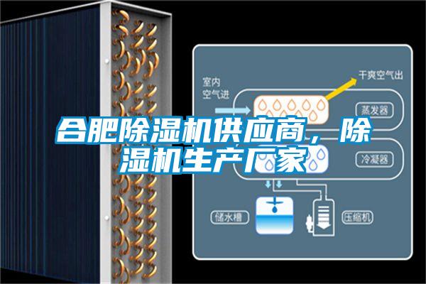 合肥除濕機供應(yīng)商，除濕機生產(chǎn)廠家