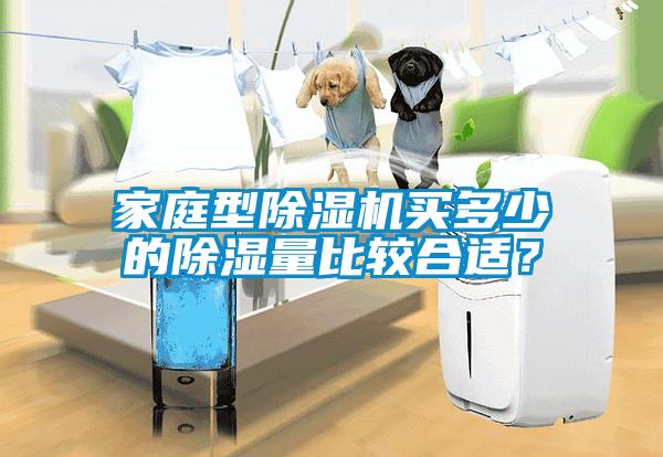 家庭型除濕機買多少的除濕量比較合適？