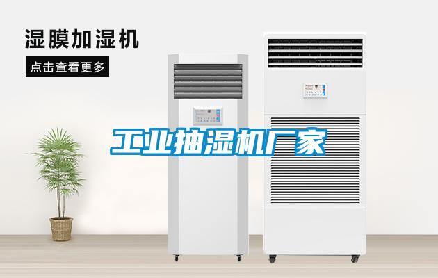 工業(yè)抽濕機廠家