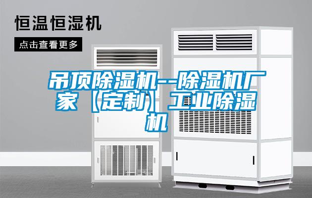 吊頂除濕機--除濕機廠家【定制】工業(yè)除濕機