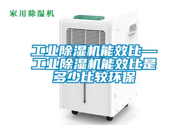 工業(yè)除濕機(jī)能效比—工業(yè)除濕機(jī)能效比是多少比較環(huán)保