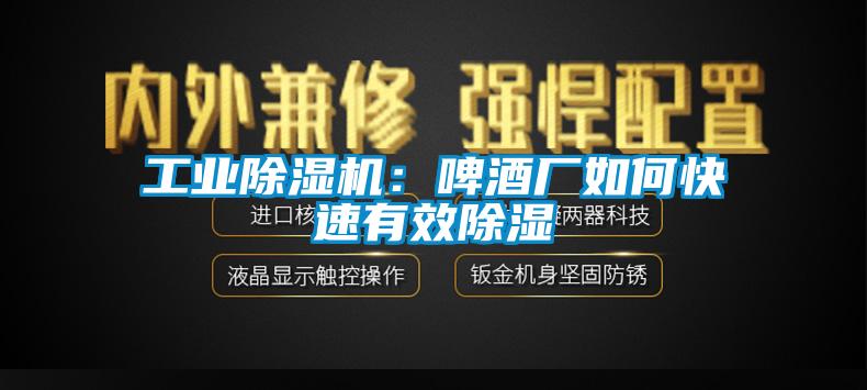 工業(yè)除濕機：啤酒廠如何快速有效除濕