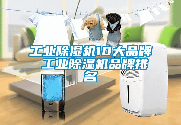 工業(yè)除濕機10大品牌 工業(yè)除濕機品牌排名