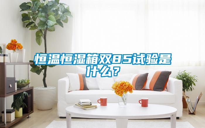 恒溫恒濕箱雙85試驗(yàn)是什么？