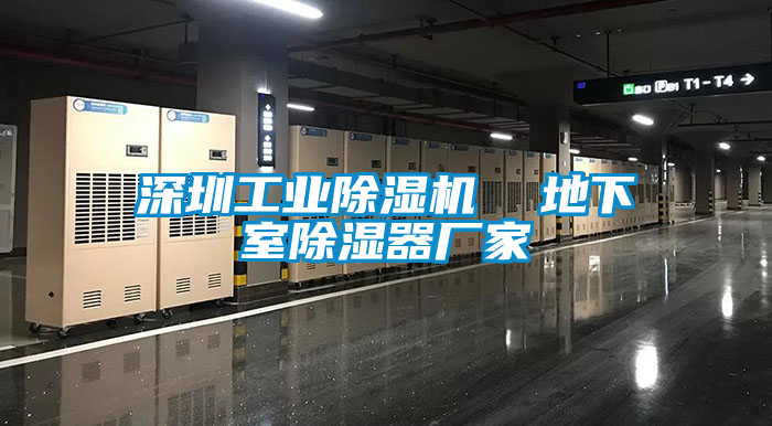 深圳工業(yè)除濕機  地下室除濕器廠家