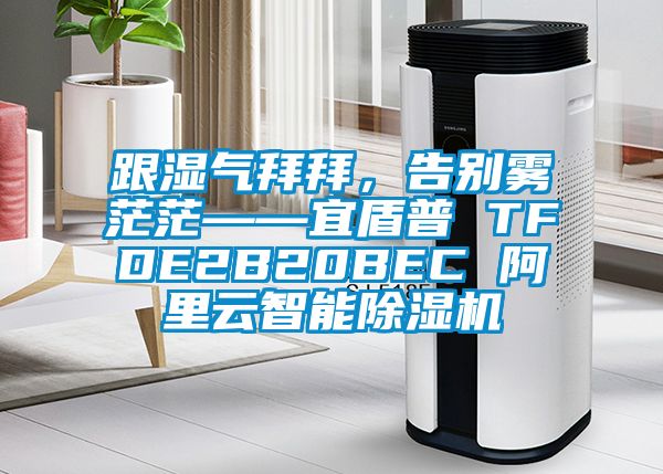 跟濕氣拜拜，告別霧茫茫——宜盾普 TFDE2B20BEC 阿里云智能除濕機(jī)