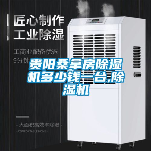 貴陽桑拿房除濕機(jī)多少錢一臺(tái),除濕機(jī)