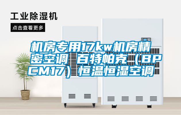 機房專用17kw機房精密空調(diào) 百特帕克（BPCM17）恒溫恒濕空調(diào)