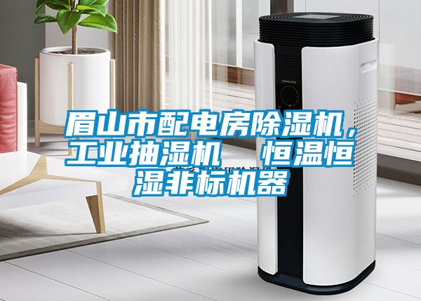 眉山市配電房除濕機(jī)，工業(yè)抽濕機(jī)  恒溫恒濕非標(biāo)機(jī)器