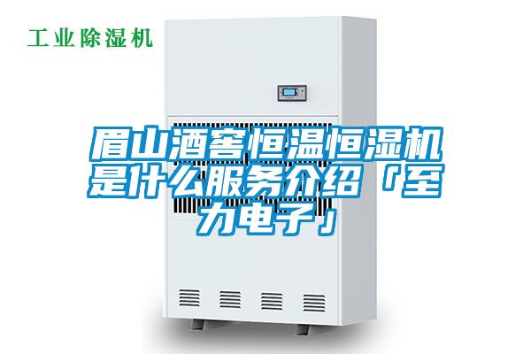 眉山酒窖恒溫恒濕機是什么服務介紹「至力電子」