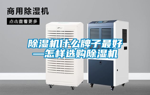 除濕機什么牌子最好—怎樣選購除濕機