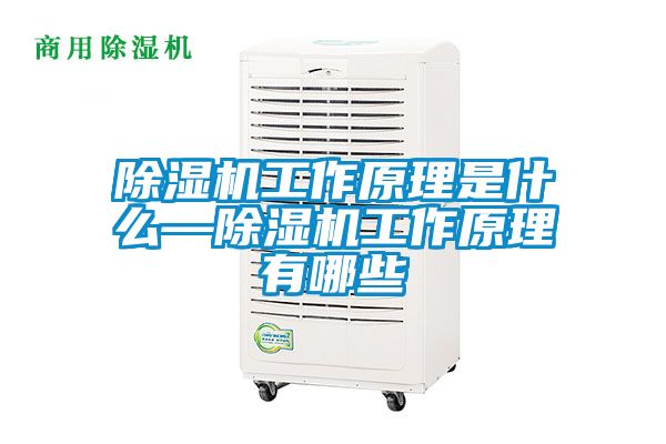 除濕機(jī)工作原理是什么—除濕機(jī)工作原理有哪些