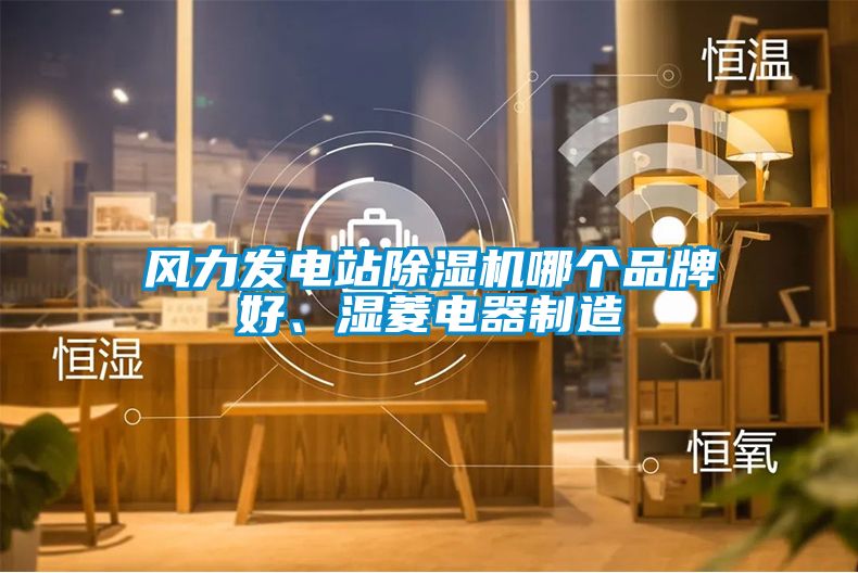 風(fēng)力發(fā)電站除濕機哪個品牌好、濕菱電器制造